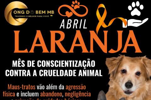 Abril Laranja: Mês de Conscientização Contra a Crueldade Animal